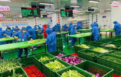 中国大力发展订单农业,冷链市场空间未饱和,价值可期